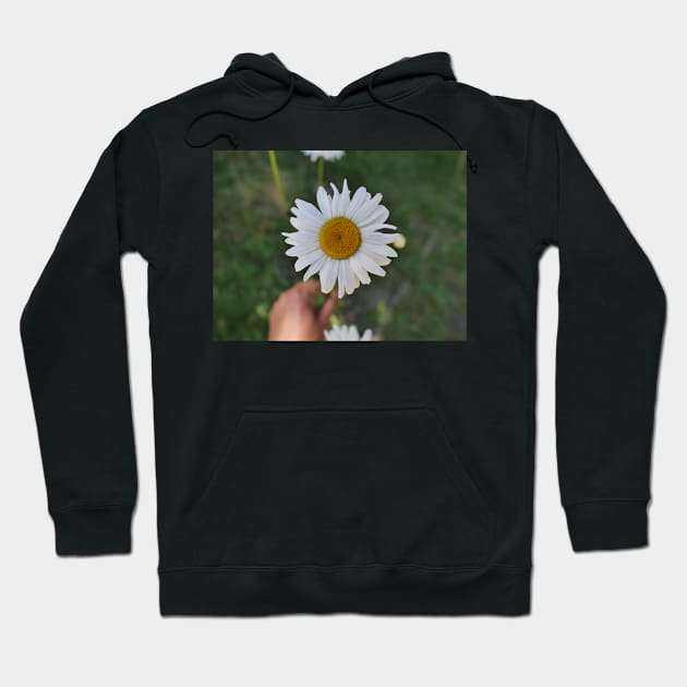 Daisy flower with its yellow disk Hoodie by fantastic-designs